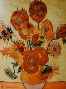 Amsterdam-Van-Gogh-Sonnenblumen