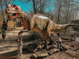 Dinosaurierpark _Teufelsschlucht_Dinos_zum_Anfassen