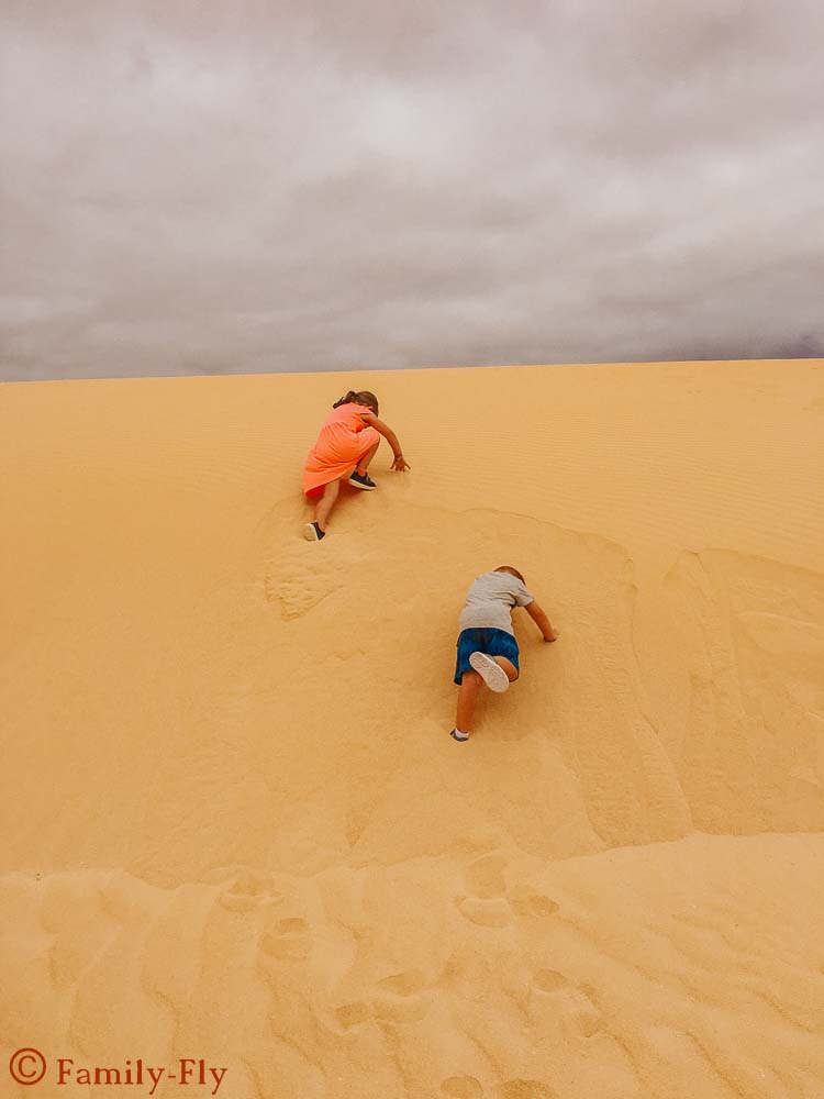 Fuerteventura_Wuesten_Sand