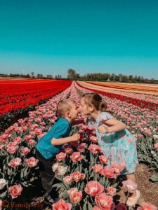 Tulpenfelder_Kinder_Kuss