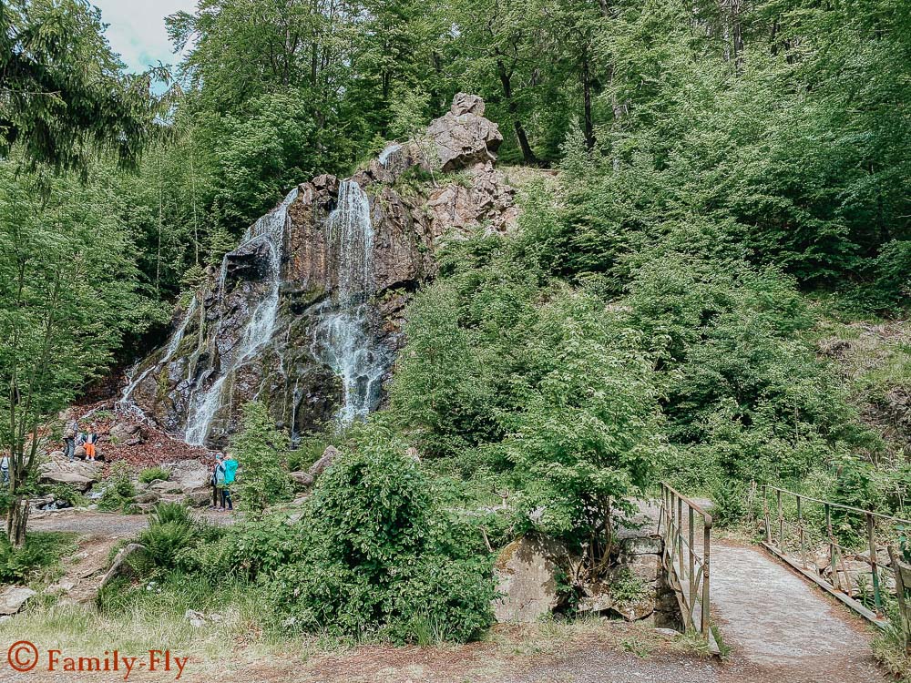 Harz Wasserfall