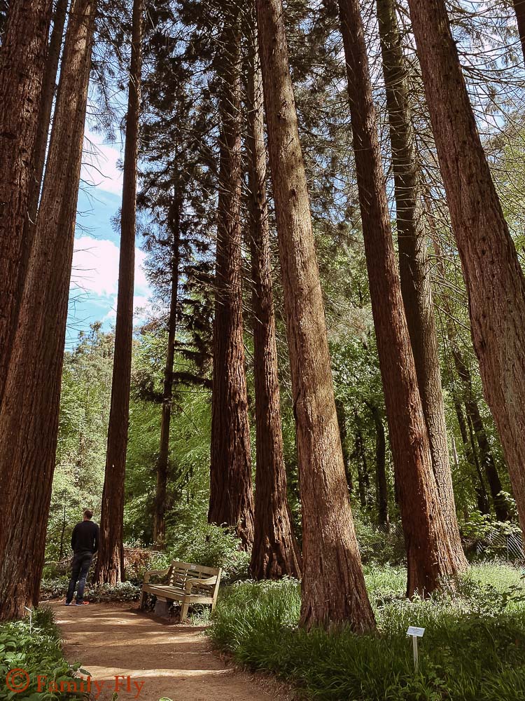 Sequoiafarm Kaldenkirchen